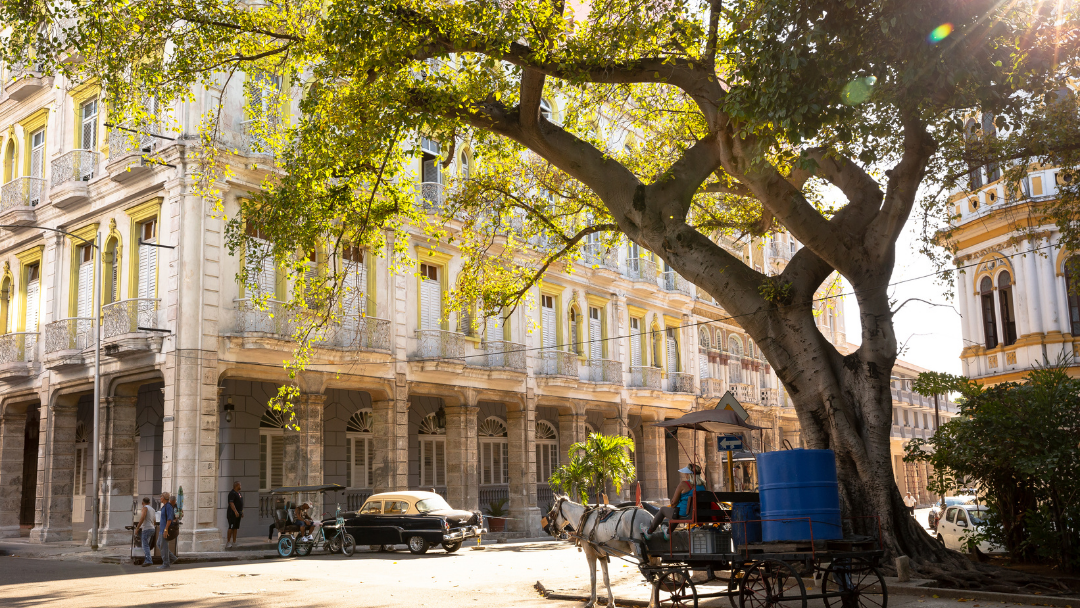 Visit Old Havana