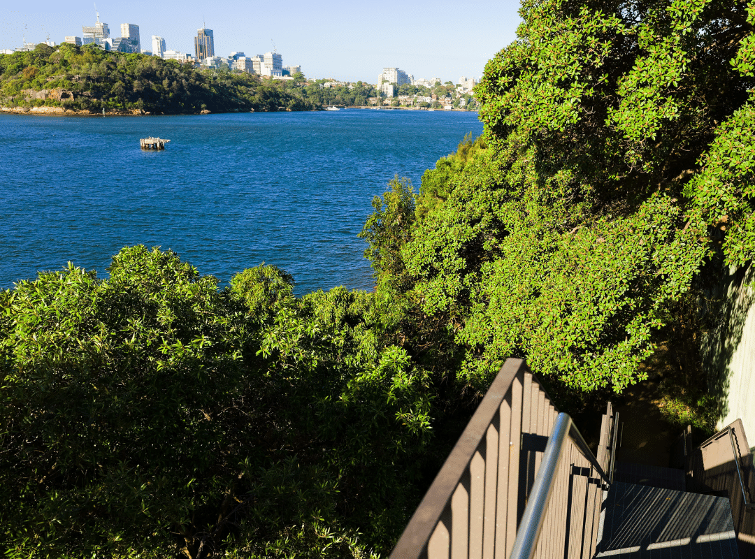 Ballast Point Park Harbour View - Sydney Picnic Spot