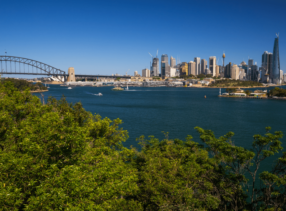 Balls Head Reserve - Harbour View