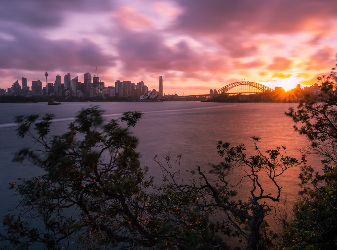 Sunset over the Harbour at Cremorne Reserve - Picnic spots in Sydney 