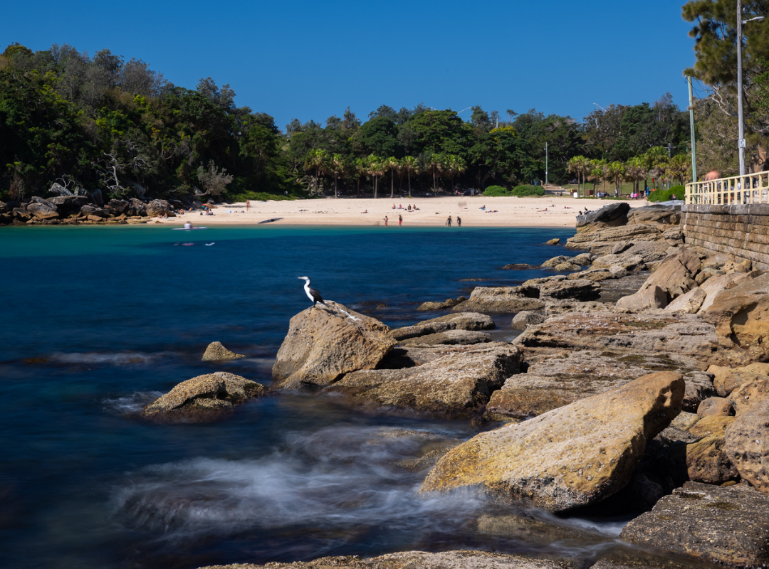 Shelly Beach - Picnic Spots In Sydney