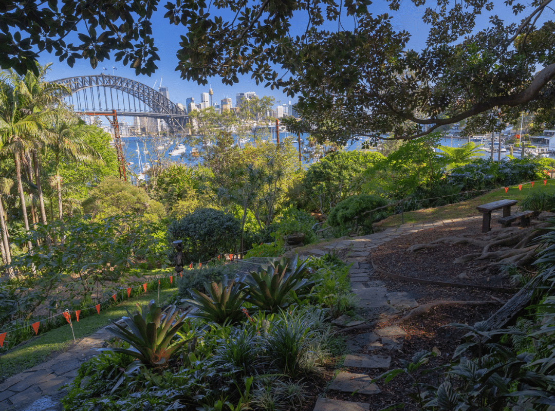 Wendy Whiteley's Secret Garden - Garden and view of Lavendar bay