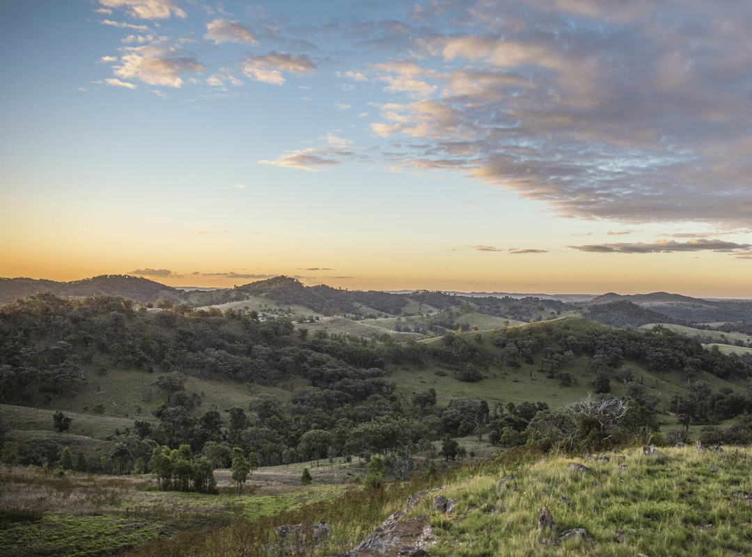 Mudgee countryside - a beautiful place to work remotely