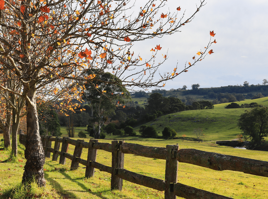 Rolling hills of the Southern Highlands - a beautiful place to work remotely