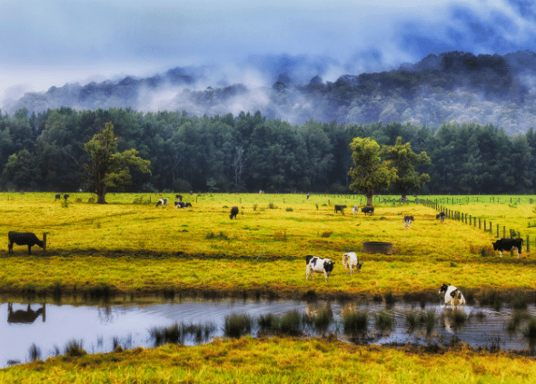 Picture of a famr in the Southern HIghlands